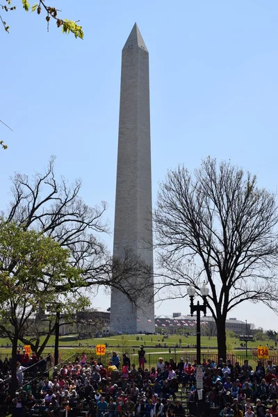 2016 Ulusal Cherry Blossom geçit töreninde Washington Dc