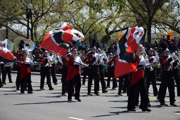Национальный парад цветения сакуры в Вашингтоне — стоковое фото