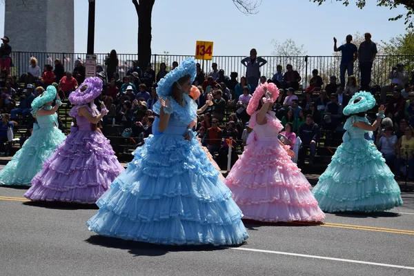 2016 Ulusal Cherry Blossom geçit töreninde Washington Dc