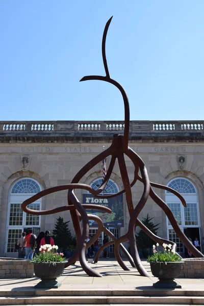 De Nationale Plantentuin van Verenigde Staten in Washington Dc — Stockfoto