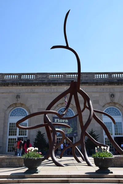 De Nationale Plantentuin van Verenigde Staten in Washington Dc — Stockfoto