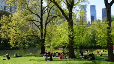 NEW YORK, NY - 30 Nisan 2016 'da görüldüğü üzere New York' taki Central Park 'ta bahar.