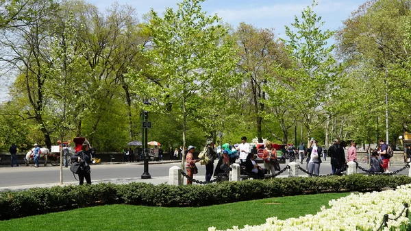 Нью Йорк Нью Йорк Apr Spring Central Park New York — стоковое фото