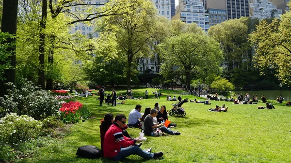 New York Apr Jaro Central Parku New Yorku Jak Vidět — Stock fotografie