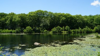 Montville, Ct - 18 Haziran: Montville, Connecticut, 18 Haziran 2016 üzerinde görüldüğü gibi doğanın sanat Köyü'nde dinozor Place. Parkta doğal yollar 1,5 millik üzerinde 40'tan fazla hayat dinozorlar özellikleri.
