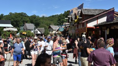 2016 Rönesans Faire Tuxedo Park, New York Devlet