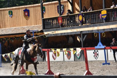 2016 Rönesans Faire Tuxedo Park, New York Devlet