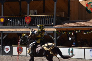 2016 Rönesans Faire Tuxedo Park, New York Devlet