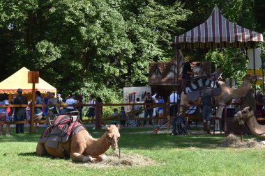 2016 Rönesans Faire Tuxedo Park, New York Devlet