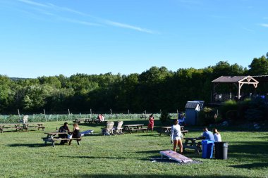 New Paltz, New York 'taki Robibero Şaraphanesi, 4 Eylül 2020' de görüldüğü gibi.. 