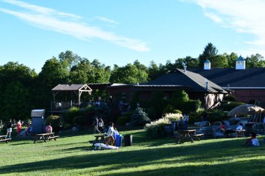 New Paltz, New York 'taki Robibero Şaraphanesi, 4 Eylül 2020' de görüldüğü gibi.. 