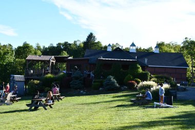 New Paltz, New York 'taki Robibero Şaraphanesi, 4 Eylül 2020' de görüldüğü gibi.. 