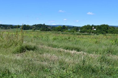 KERHONKSON, NY - 5. SEP 5: Fields at Kelders Farm, Kerhonkson, New York, as seen at Sep 5, 2021.