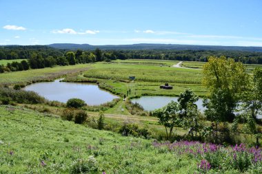 KERHONKSON, NY - 5. SEP 5: Fields at Kelders Farm, Kerhonkson, New York, as seen at Sep 5, 2021.