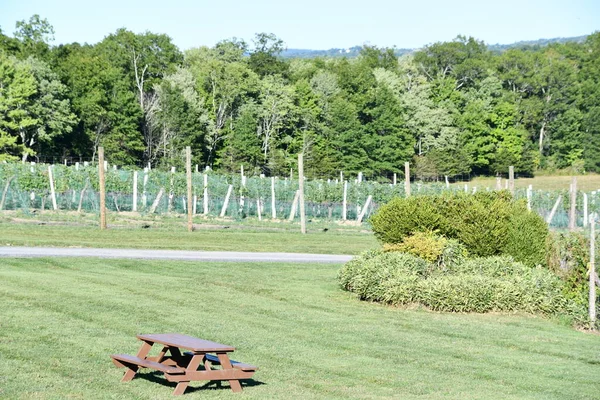 New Paltz Sep Robibero Winery New Paltz New York Seen — Stock Photo, Image