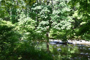 Washington, Connecticut 'taki Hudden Valley Konservesi