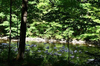 Washington, Connecticut 'taki Hudden Valley Konservesi