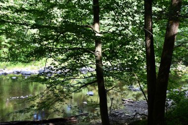 Washington, Connecticut 'taki Hudden Valley Konservesi