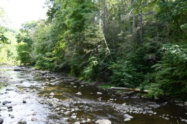 Washington, Connecticut 'taki Hudden Valley Konservesi