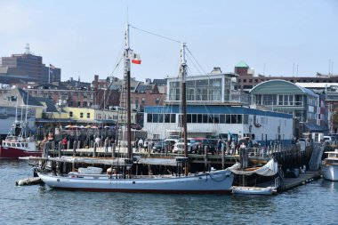 PORTLAND, ME - 26. Sezon 2020 'de Maine' deki Portland Limanı 'nın görüntüsü.  