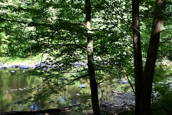 Washington, Connecticut 'taki Hudden Valley Konservesi