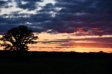 Güzel Günbatımı Görünümü