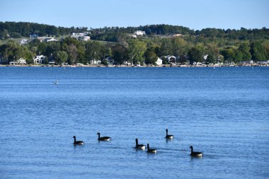 Canandaigua, New York 'taki Kershaw Park' tan Canandaigua Gölü manzarası