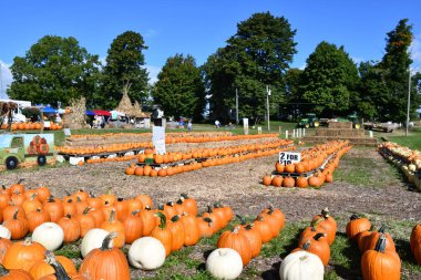 VICTOR, New York - 19 Sep 2020 'de görüldüğü üzere, New York' taki Duvall Çiftliği 'ndeki Elma Çiftliği ve Balkabağı Sarayı.
