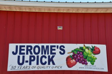 NAPLES, NY - 20 Sep 2020 'de görüldüğü üzere, New York, Napoli' deki Jerome U Pick Üzümleri 'ndeki Üzüm Çiftliği.