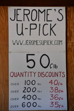 NAPLES, NY - 20 Sep 2020 'de görüldüğü üzere, New York, Napoli' deki Jerome U Pick Üzümleri 'ndeki Üzüm Çiftliği.