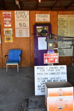 NAPLES, NY - 20 Sep 2020 'de görüldüğü üzere, New York, Napoli' deki Jerome U Pick Üzümleri 'ndeki Üzüm Çiftliği.