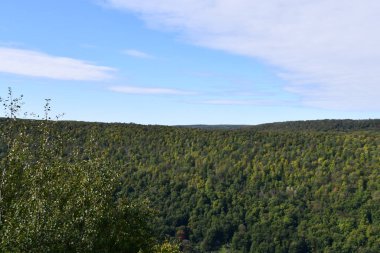 Napoli, New York 'taki Ontario County Parkı' ndaki Gannett Hill 'deki Jump Off Scenic Point' ten görüntü