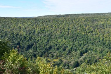 Napoli, New York 'taki Ontario County Parkı' ndaki Gannett Hill 'deki Jump Off Scenic Point' ten görüntü