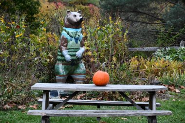 WARREN, CT - 11 Ekim 2021 'de görüldüğü gibi Warren, Connecticut' taki Hopkins Üzüm bağı.