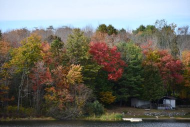 Washington, Connecticut 'taki Mount Tom Eyalet Parkı' nda plaj