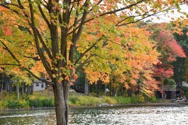 Washington, Connecticut 'taki Mount Tom Eyalet Parkı' nda plaj