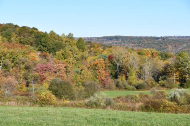 Litchfield Hills 'teki Sonbahar Renkleri New Milford, Connecticut' tan