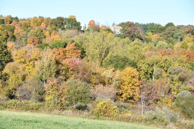 Litchfield Hills 'teki Sonbahar Renkleri New Milford, Connecticut' tan