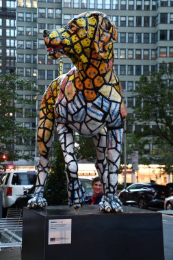 NEW YORK, New York - 18 Ekim 2022 'de görüldüğü üzere, Vizsla Daphne, New York City' de Will Kurtz sergisinde.