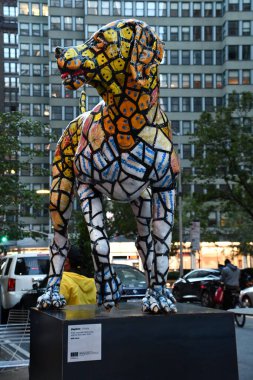 NEW YORK, New York - 18 Ekim 2022 'de görüldüğü üzere, Vizsla Daphne, New York City' de Will Kurtz sergisinde.