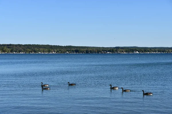 Vista Del Lago Canandaigua Desde Kershaw Park Canandaigua Nueva York — Foto de Stock