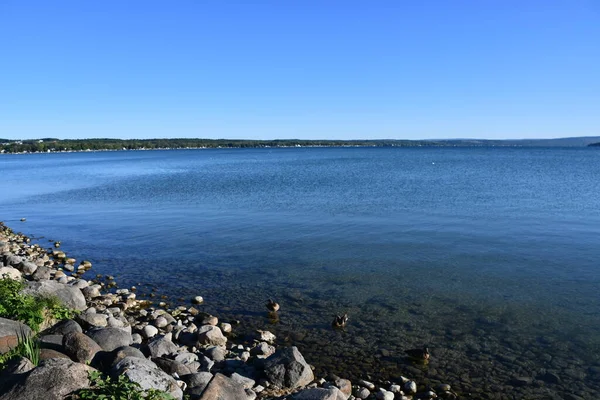 Вид Озеро Кандандайґуа Парку Кершоу Кандандайґуа Штат Нью Йорк — стокове фото