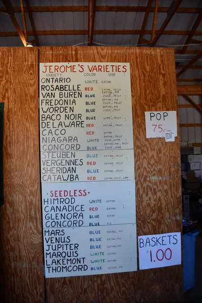 NAPLES, NY - 20 Sep 2020 'de görüldüğü üzere, New York, Napoli' deki Jerome U Pick Üzümleri 'ndeki Üzüm Çiftliği.