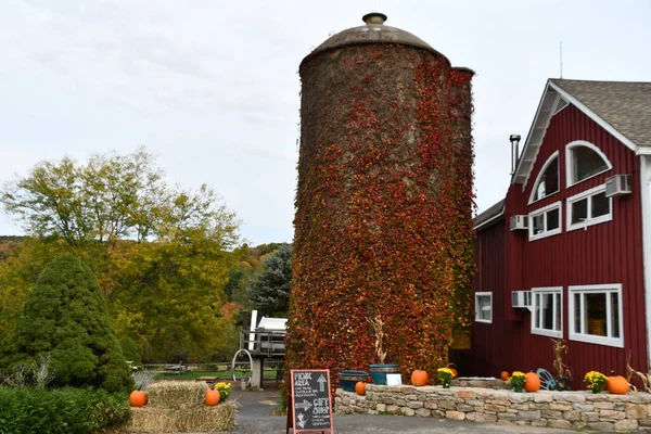 Warren Oct Hopkins Vineyard Warren Connecticut Seen Oct 2021 — Stock Photo, Image