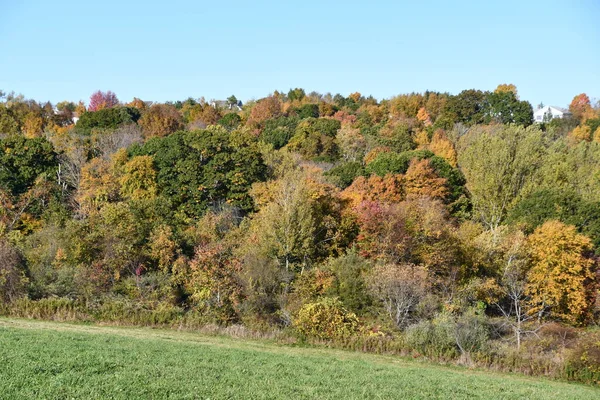 Vista Fall Colors Litchfield Hills Desde New Milford Connecticut —  Fotos de Stock