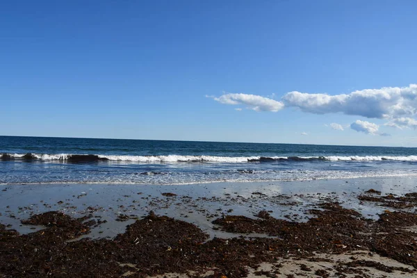 Strand Hampton New Hampshire — Stockfoto