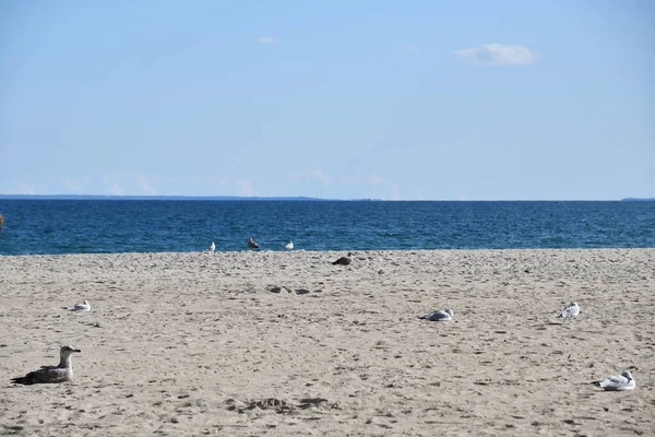 Playa Hampton New Hampshire —  Fotos de Stock