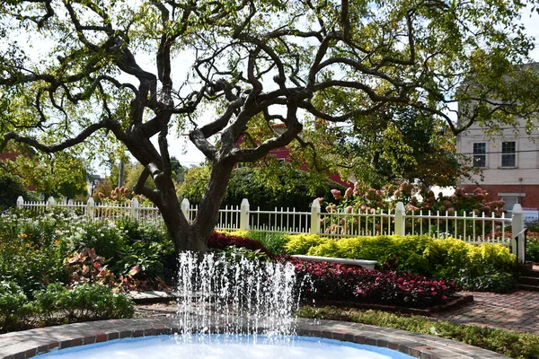 Portsmouth Oct Flower Garden Prescott Park Portsmouth New Hampshire Seen — Stock Photo, Image