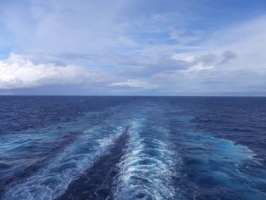 BERMUDA - 8 Eylül 2013 'te New York' ta görüldüğü gibi Norveç 'ten ayrılışı. Yıl boyunca New York 'tan eve getirilen en büyük yolcu gemisiydi..