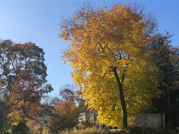 Осенние Цвета Нью Ханаане — стоковое фото